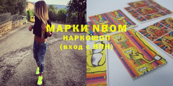 прущие грибы Кинешма