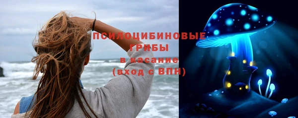 эйфоретик Киреевск