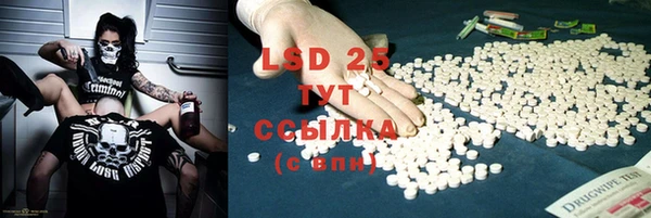 прущие грибы Кинешма