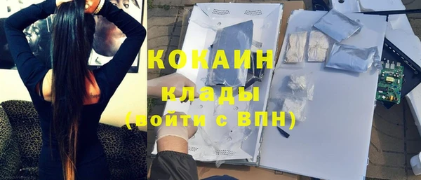 прущие грибы Кинешма