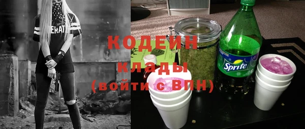 прущие грибы Кинешма