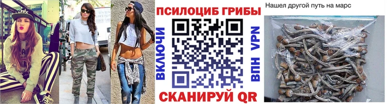 Купить  Майкоп  Псилоцибиновые грибы Psilocybe 